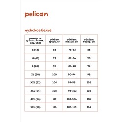 Трусы, 2 шт. PELICAN, 963528