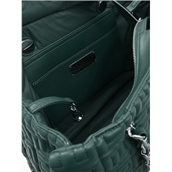 sce12401561 green