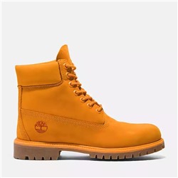 Men's Timberland® 50th Anniversary Edition Premium 6-Inch Waterproof Boot