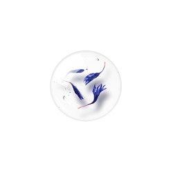 create your balance relaxing touch body oil
