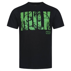 HULK Text MARVEL Herren T-Shirt FBMTS304BLK