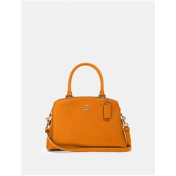 Mini Lillie Carryall