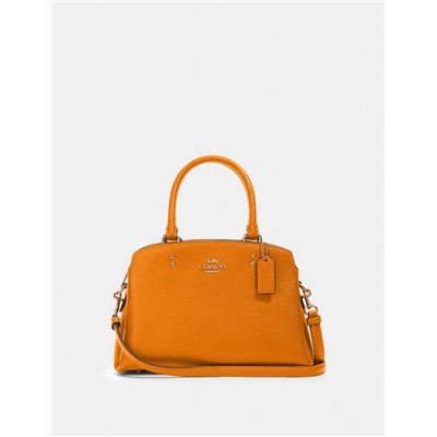 Mini Lillie Carryall