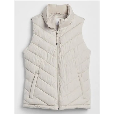 Warmest Puffer Vest