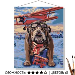 «СЕВЕРНЫЙ ПИЛОТ»