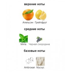 FRENCH AVENUE PINNACE edp 100ml + стоимость флакона