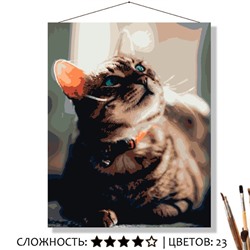 «СВЕРХУ!»