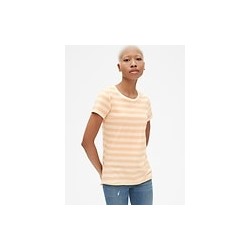 Vintage Wash Stripe Crewneck T-Shirt