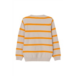 Jersey Gris y mostaza