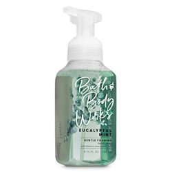 Eucalyptus Mint


Gentle Foaming Hand Soap