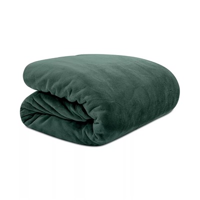 Lauren Ralph Lauren Micromink Plush Blanket, Twin