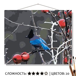 «ПЕРВЫЕ ЗАМОРОЗКИ»