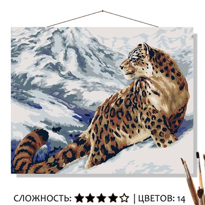 «СНЕЖНЫЙ БАРС»