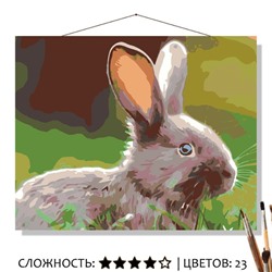 «ЗАЙКА»
