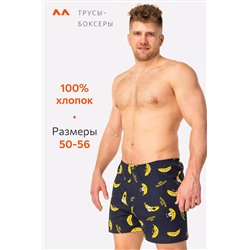 Мужские трусы-боксеры Happyfox