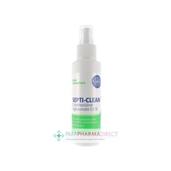 Gifrer Septi-Clean Spray Antiseptique 100ml