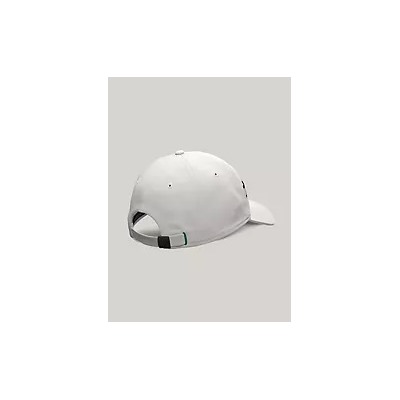 Flag Stripe Logo Baseball Cap
