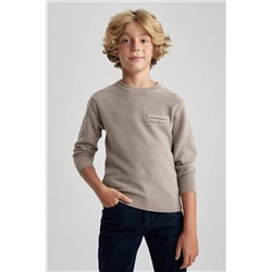 Defacto Erkek Çocuk Regular Fit Bisiklet Yaka Kazak B1322A823WN