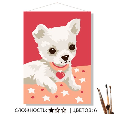 «СОБАЧКА»