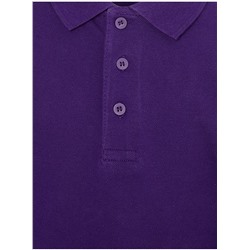 Plum Short Sleeve School Polo Shirts 2 Pack