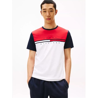 Colorblock Flag Stripe Logo T-Shirt