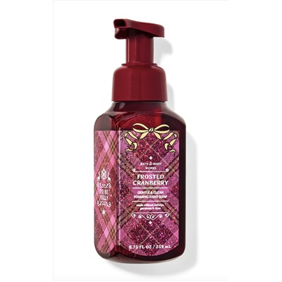 Frosted Cranberry Gentle & Clean Foaming Hand Soap