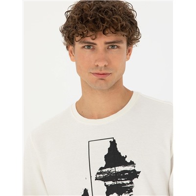 Ekru Regular Fit Sweatshirt