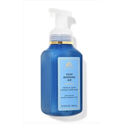 Crisp Morning Air Gentle & Clean Foaming Hand Soap