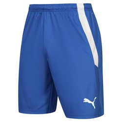 PUMA teamLIGA Herren Shorts 704924-35