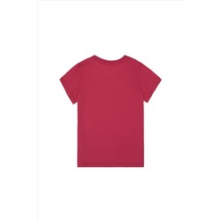 Erkek Çocuk Vişne Basic Bisiklet Yaka Tişört