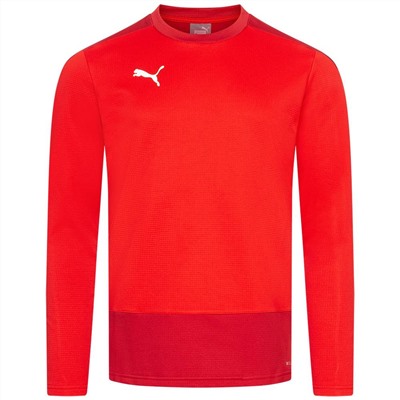 PUMA teamGOAL Training Sweat Herren Pullover 656478-01