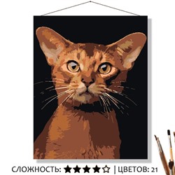 «АБИССИНСКИЙ КОТ»