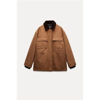 PADDED JACKET WITH CONTRAST COLLAR ZW COLLECTION