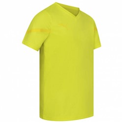 PUMA  PUMA teamFLASH Kinder Trikot 704395-23