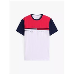 Colorblock Flag Stripe Logo T-Shirt