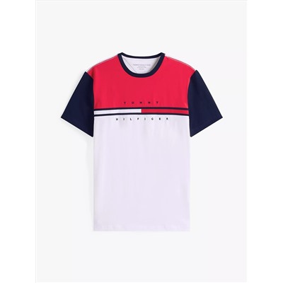 Colorblock Flag Stripe Logo T-Shirt