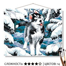 «МОЛОДОЙ ХАСКИ»