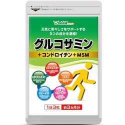 SEEDCOMS Glucosamine+Chondroitin+MSM+Collagen II Глюкозамин Хондроитин МСМ Коллаген II типа на 90 дней