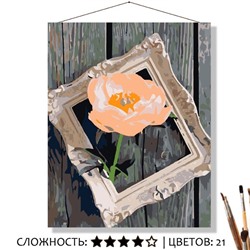«В РАМКЕ»
