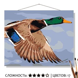 «УТКА»