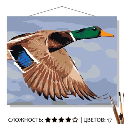 «УТКА»