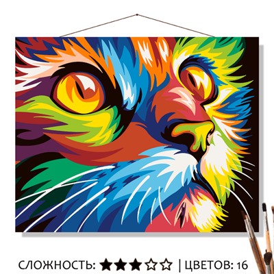 «РАДУЖНЫЙ КОТ»