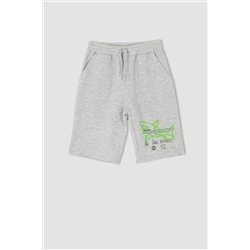 Erkek Çocuk Regular Fit Şort