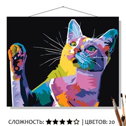 «РАДУЖНЫЙ КОТОФЕЙ»