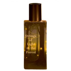 SORCE STRINGS OF LIGHT IN THE FOREST 100ml extrait de parfum + стоимость флакона