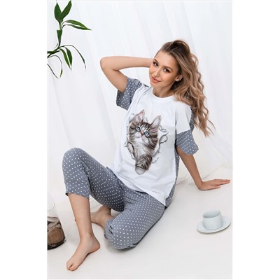 Костюм с бриджами Брамс НАТАЛИ #883377