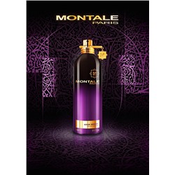 MONTALE AOUD SENSE edp 2ml пробник