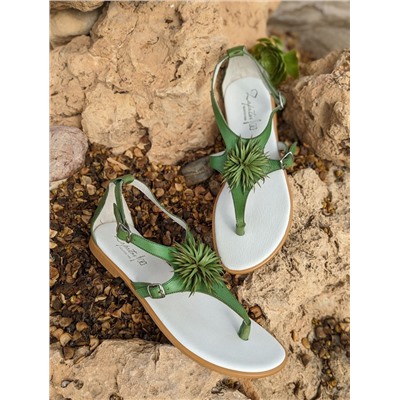 ZAPATOS 2726TG MANZANA+Pelle 2704 pistacho