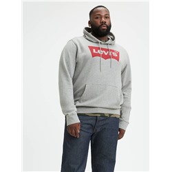 GRAPHIC HOODIE (BIG)