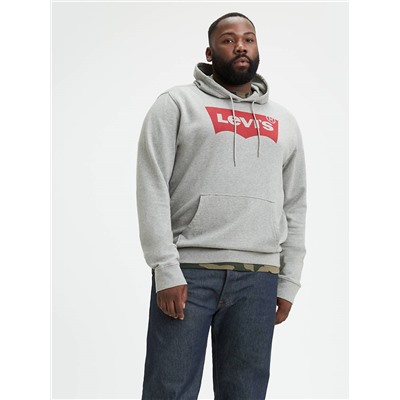 GRAPHIC HOODIE (BIG)